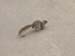 Squirrels 01