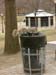 Squirrels 13