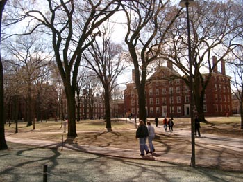 Havard (100404) 01