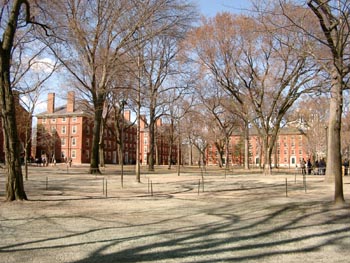Havard (100404) 07