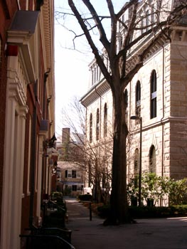 Havard (100404) 12