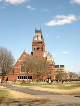 Havard (100404) 16