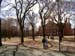 Havard (100404) 01