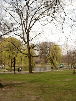 Boston tour (180404) 2