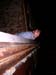 Roof Hopping Party (200504) S 19