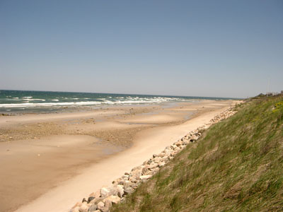 Cape Cod 012
