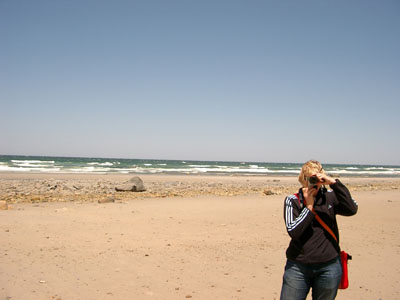 Cape Cod 015
