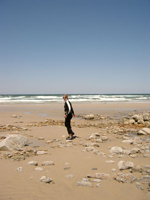 Cape Cod 017