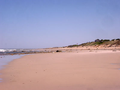 Cape Cod 022