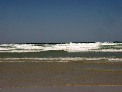 Cape Cod 023