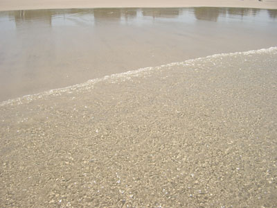 Cape Cod 026