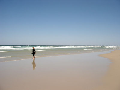 Cape Cod 029