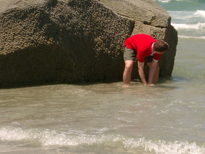 Cape Cod 032