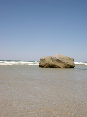 Cape Cod 037