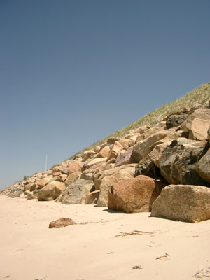Cape Cod 041