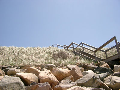 Cape Cod 042