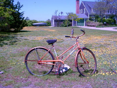 Cape Cod 045