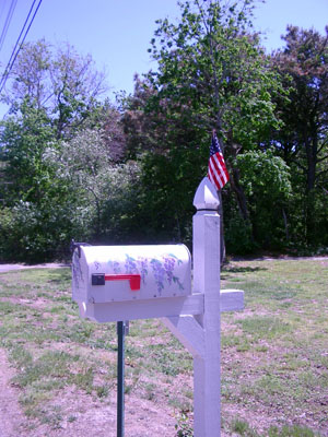 Cape Cod 046