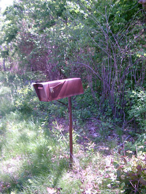 Cape Cod 047