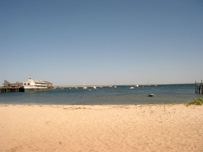 Cape Cod 052