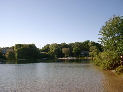 Cape Cod 057