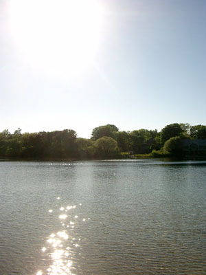 Cape Cod 058