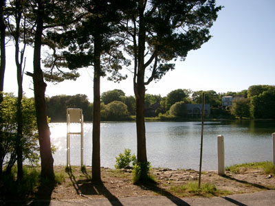 Cape Cod 059