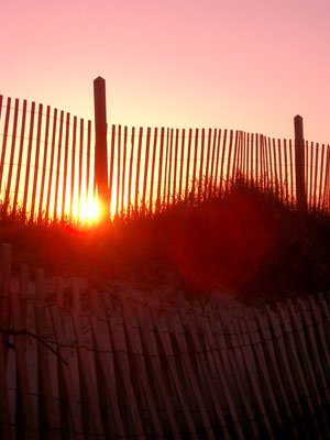 Cape Cod 063