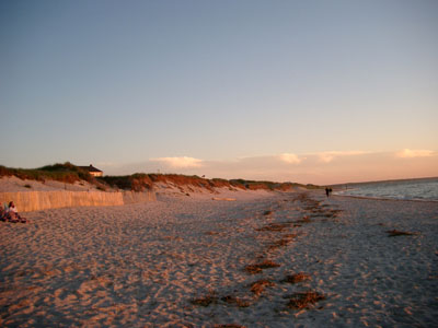 Cape Cod 066