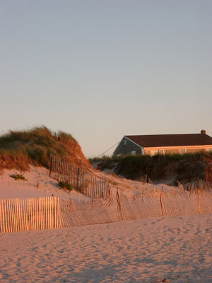 Cape Cod 067