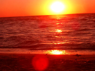 Cape Cod 068