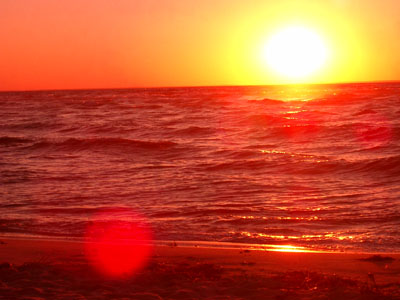 Cape Cod 069