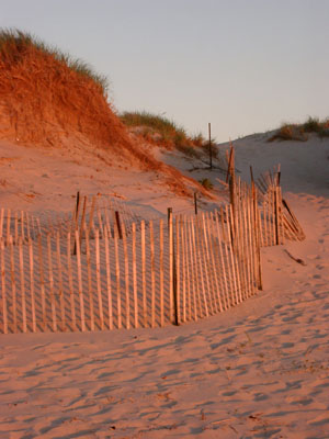 Cape Cod 070