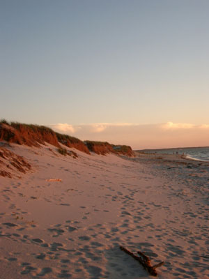 Cape Cod 073