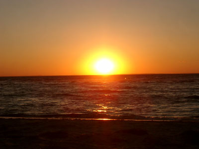 Cape Cod 075