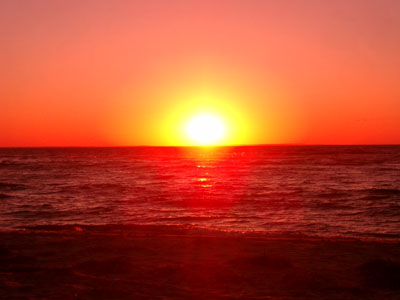 Cape Cod 076