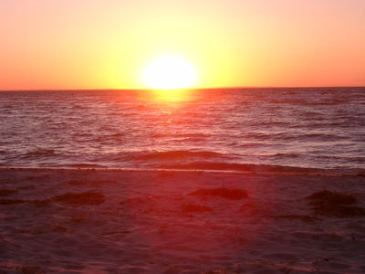 Cape Cod 077