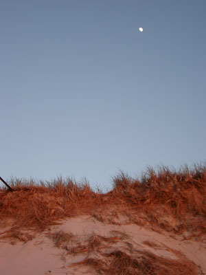 Cape Cod 078