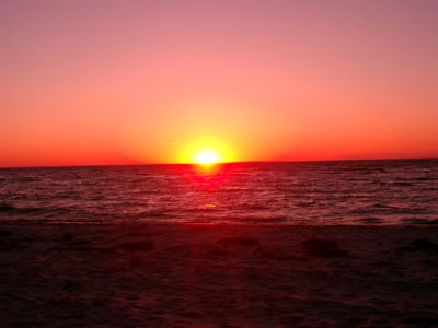 Cape Cod 079