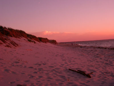 Cape Cod 080