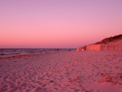 Cape Cod 081