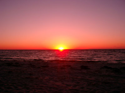 Cape Cod 082