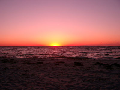 Cape Cod 084