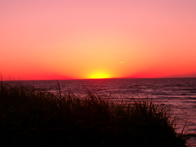 Cape Cod 087