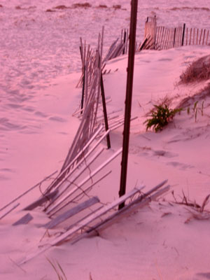 Cape Cod 088
