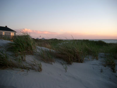 Cape Cod 089