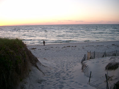 Cape Cod 090