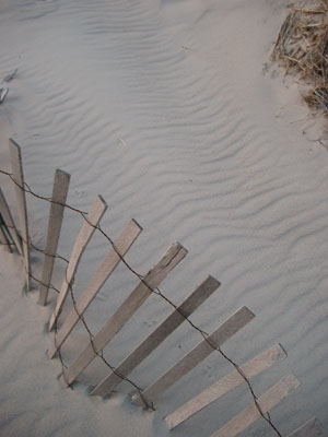 Cape Cod 091