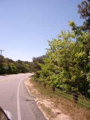 Cape Cod 099