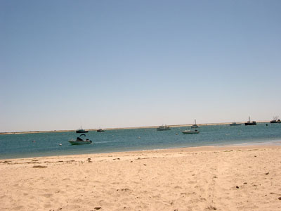 Cape Cod 101